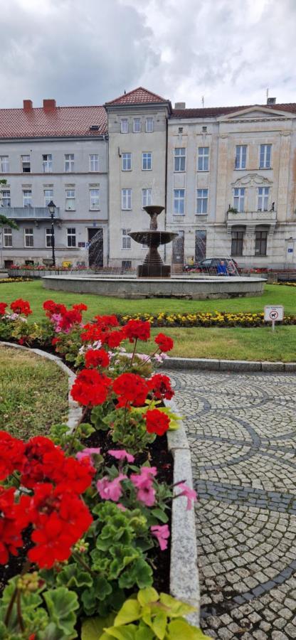 Apartament Ksiaz Świebodzice Eksteriør billede